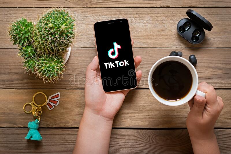 PayMeToo: Tips To Grow Your Blog Traffic Using TikTok